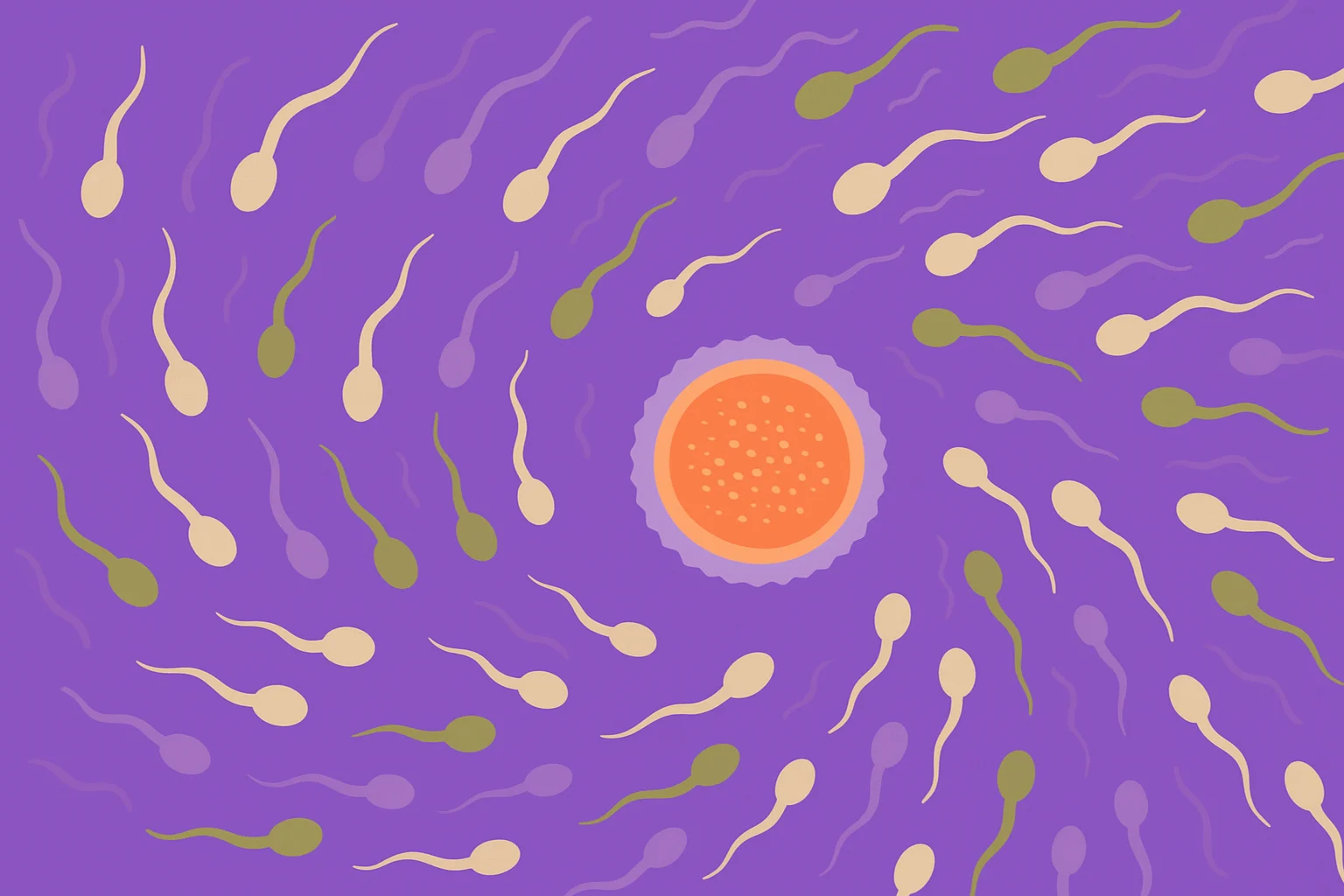 What Is a Sperm Count and Why Does It Matter for Fertility?