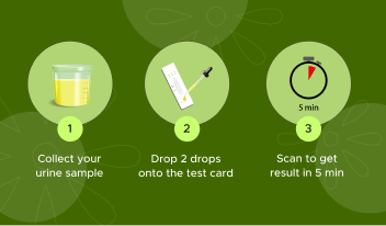 Woman at home with ovulation test kit