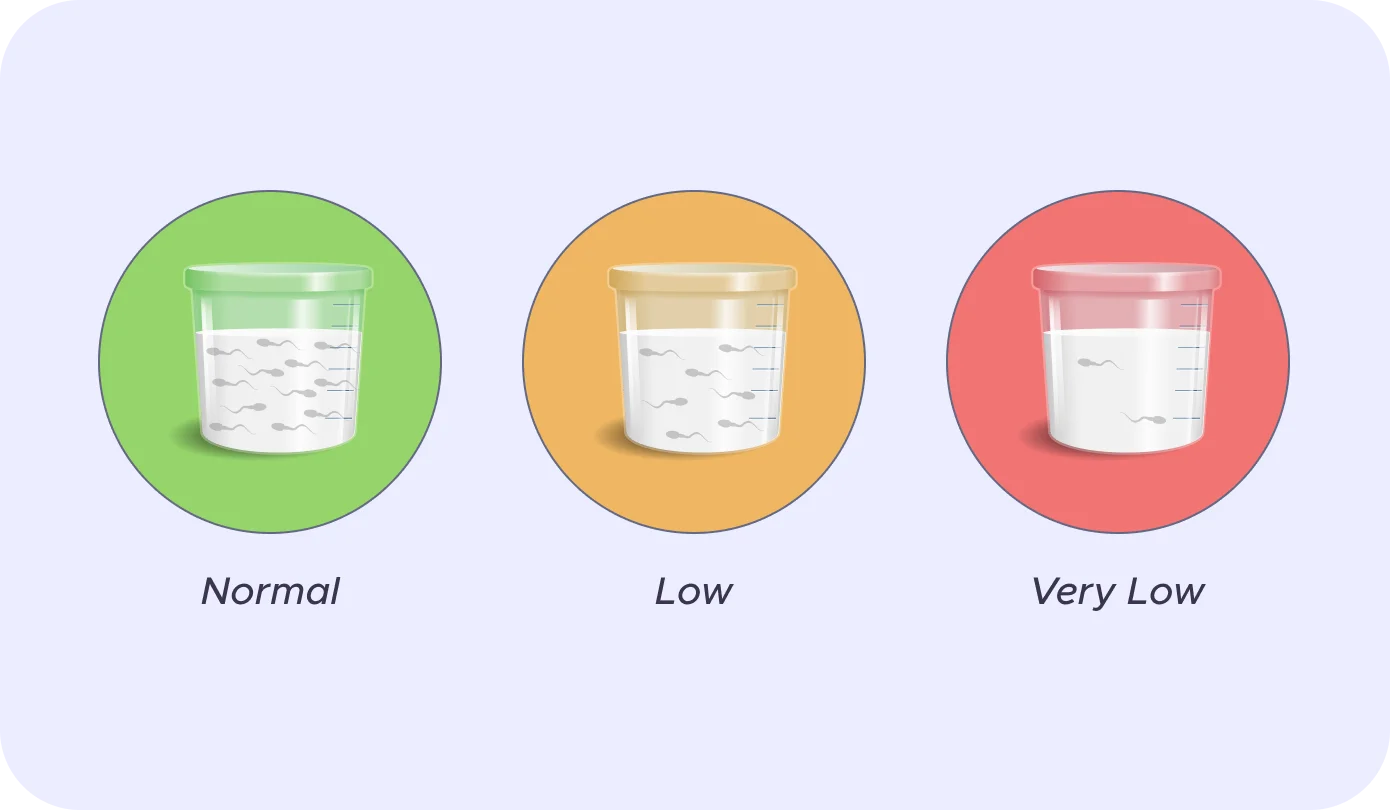 Alpha test components and features